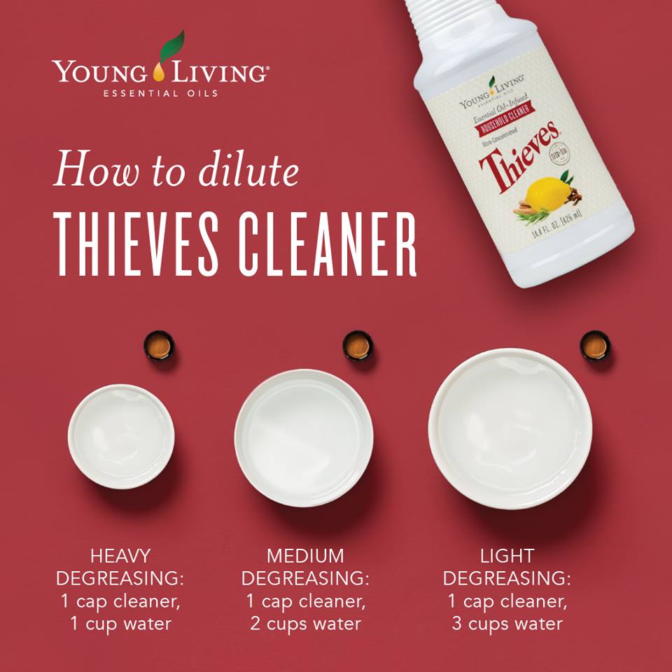 Thieves household online cleaner